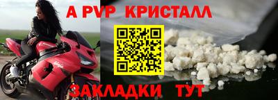 таблы Гусев