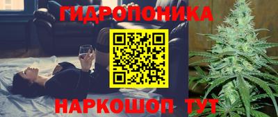таблы Гусев