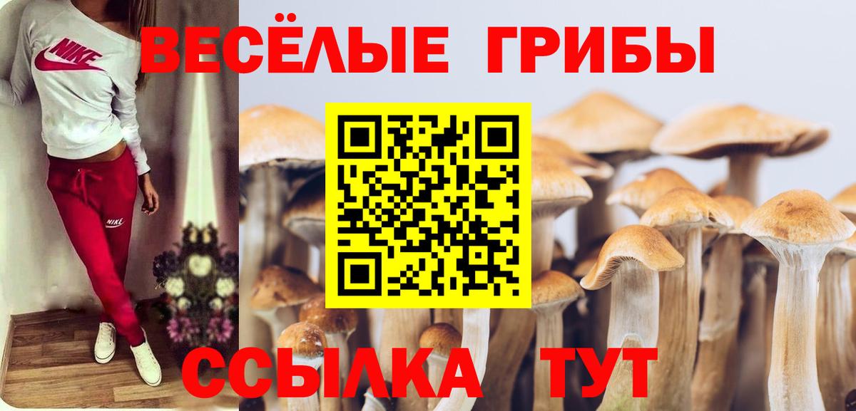 Магнитогорск  Псилоцибиновые грибы ЛСД  Вход с VPN  Галлюциногенные грибы ЛСД 
